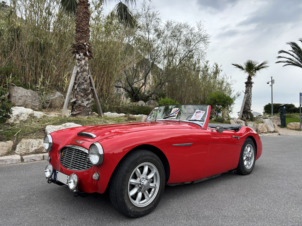 Austin-Healey 100-6