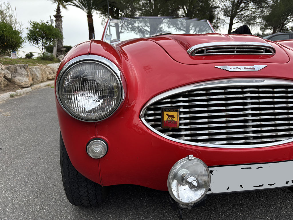 Austin-Healey 100-6
