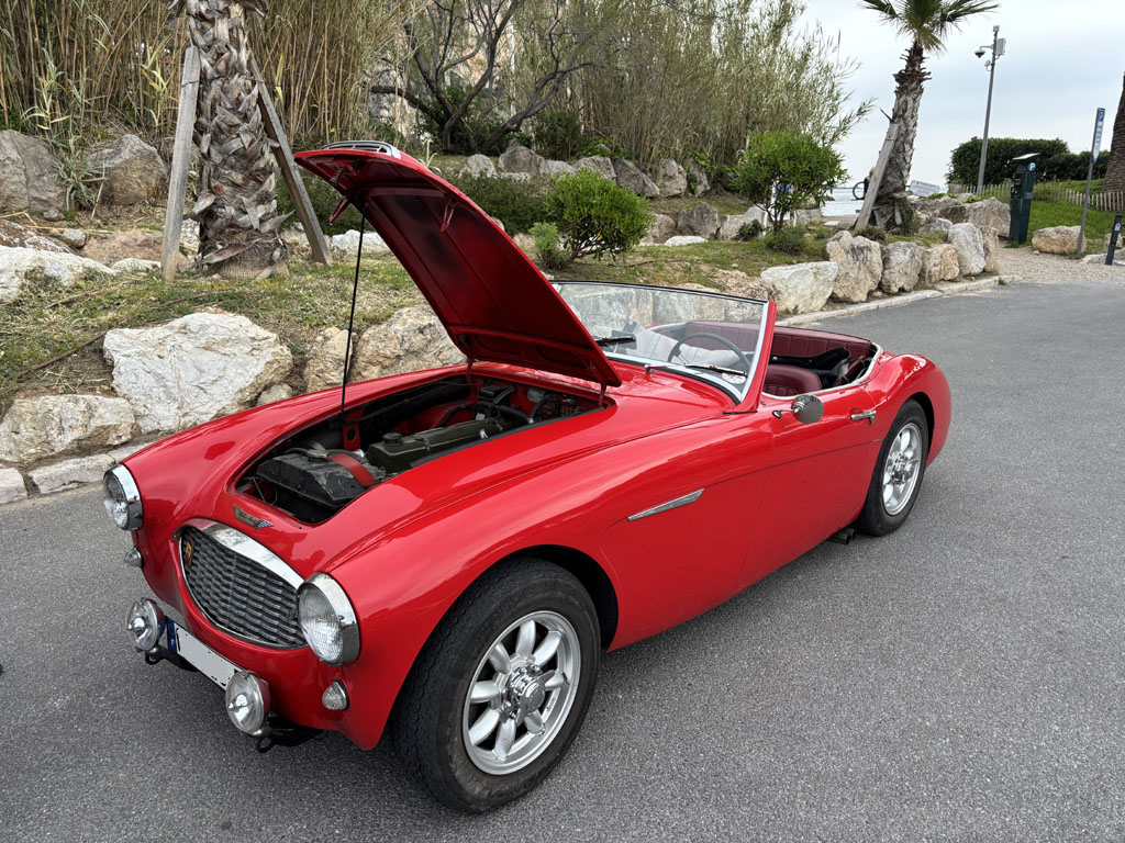 Austin-Healey 100-6